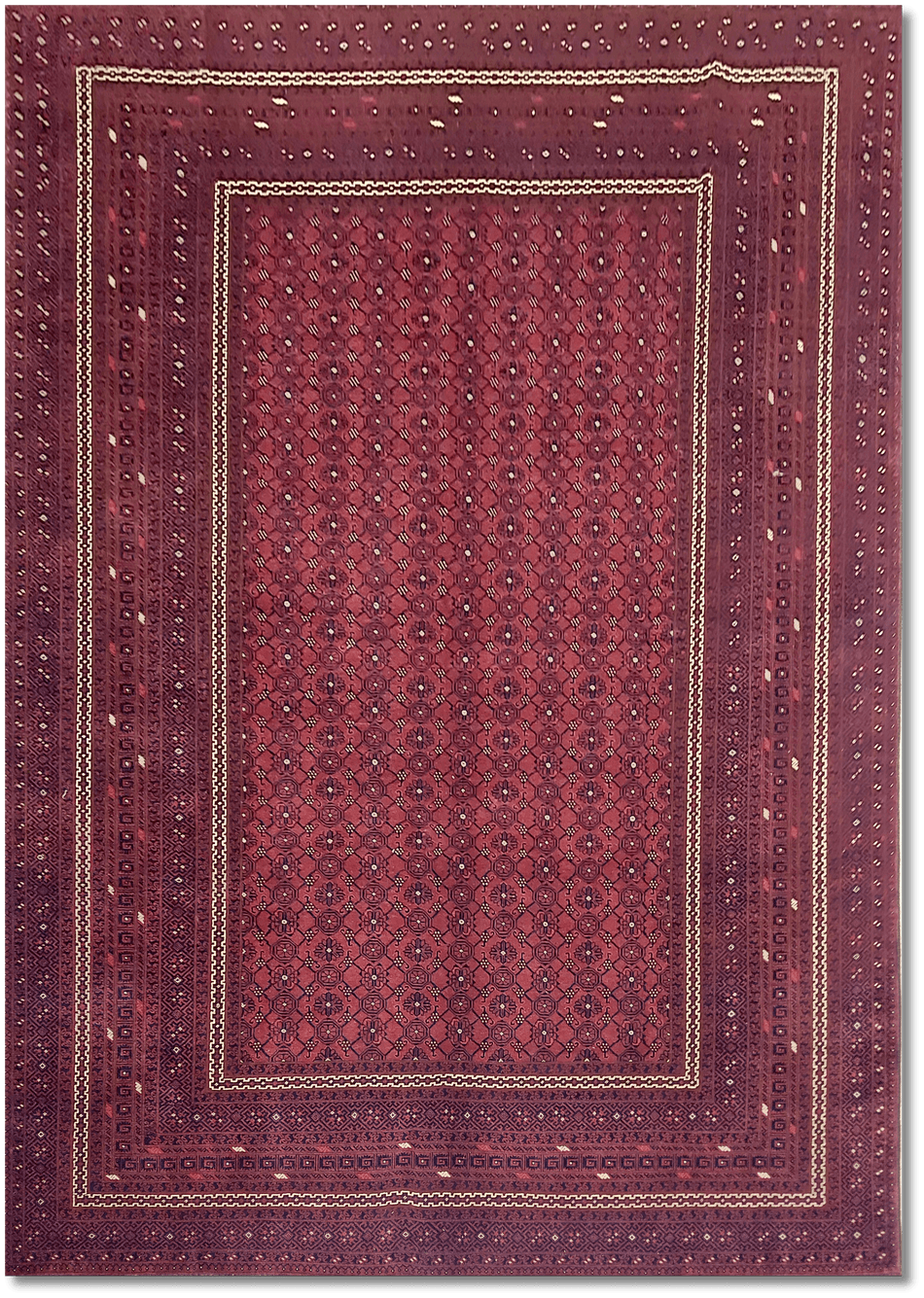 Roshnai Rug - 292 cm x 209 cm