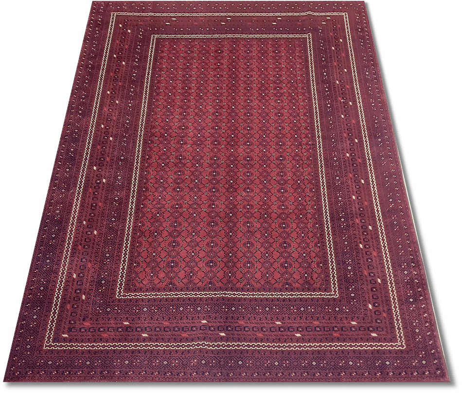 Roshnai Rug - 292 cm x 209 cm