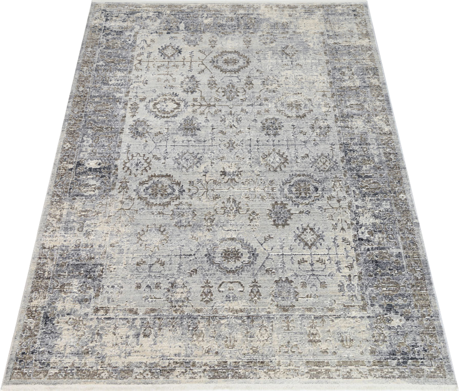 Asterya Lustrous Heritage Rug (18744 110)