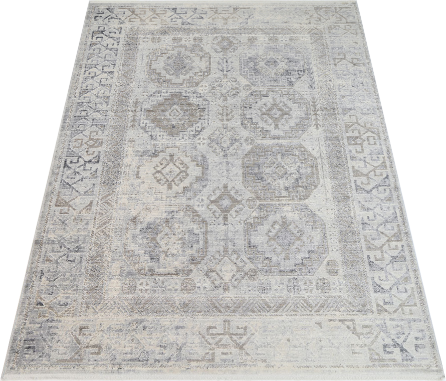 Asterya Lustrous Heritage Rug (19182 110)