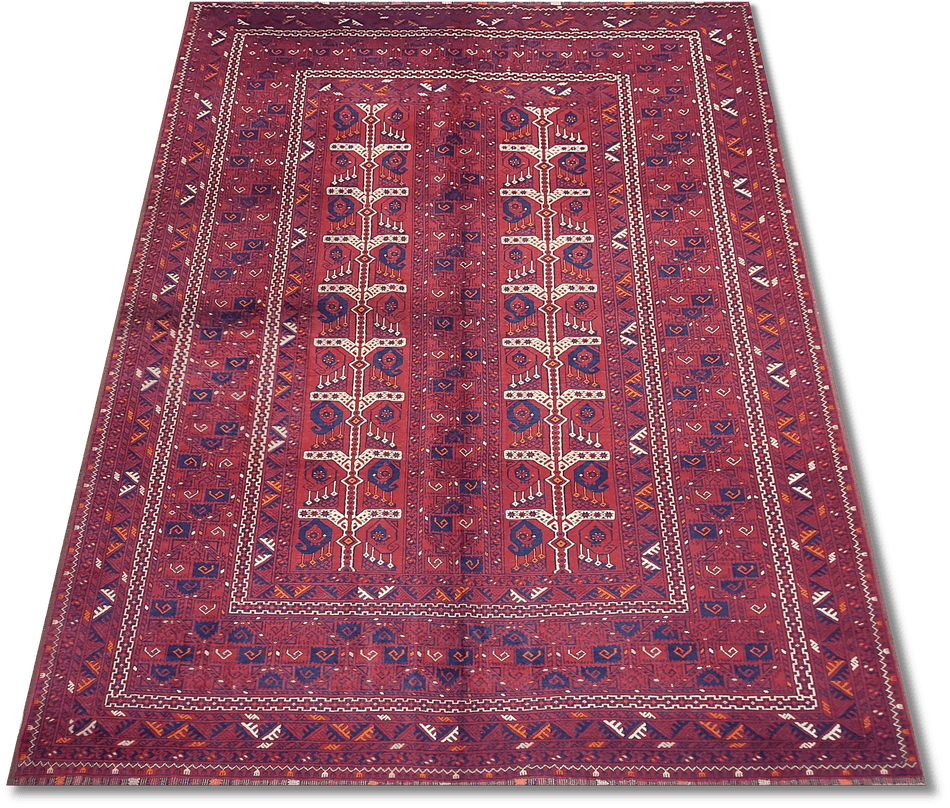 Roshnai Rug - 309 cm x 208 cm