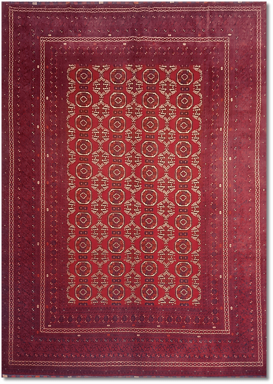 Roshnai Rug - 293 cm x 190 cm