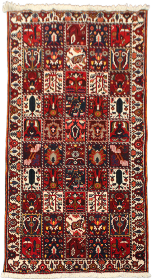 Bakhtiari Rug - 305 cm x 165 cm