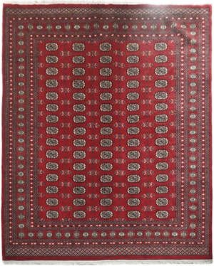 Bokhara Rug - 308 cm x 247 cm