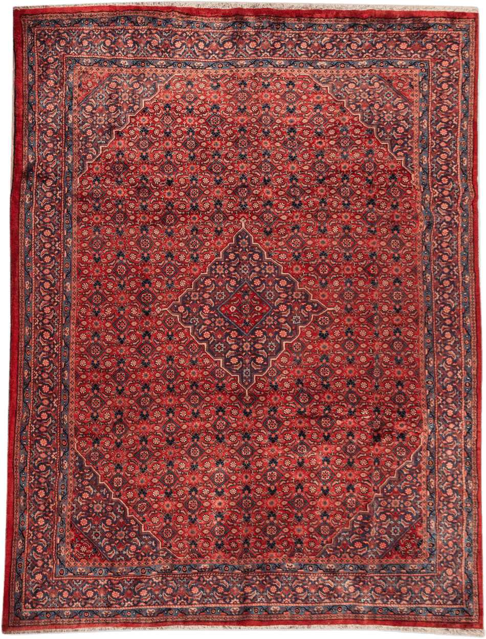 Arak Rug - 410 cm x 312 cm
