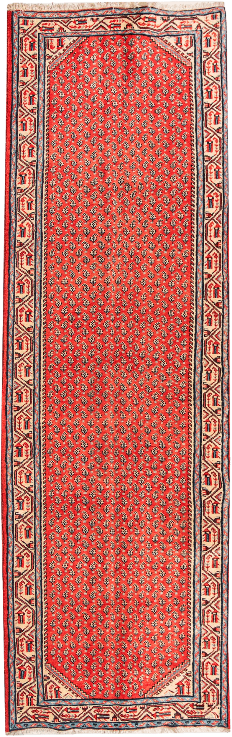 Saruk Runner - 310 cm x 115 cm