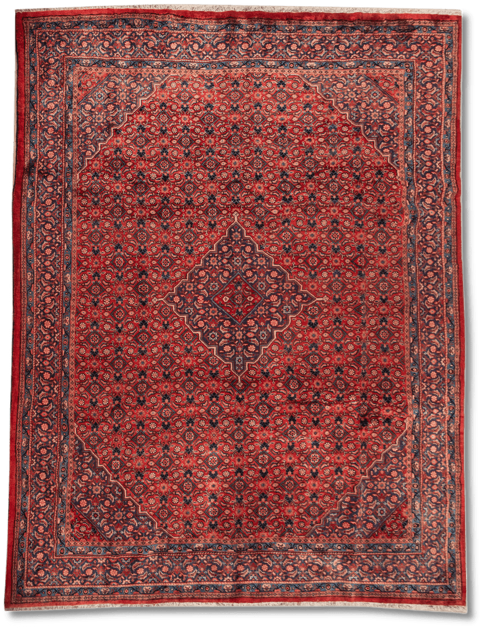 Arak Rug - 410 cm x 312 cm