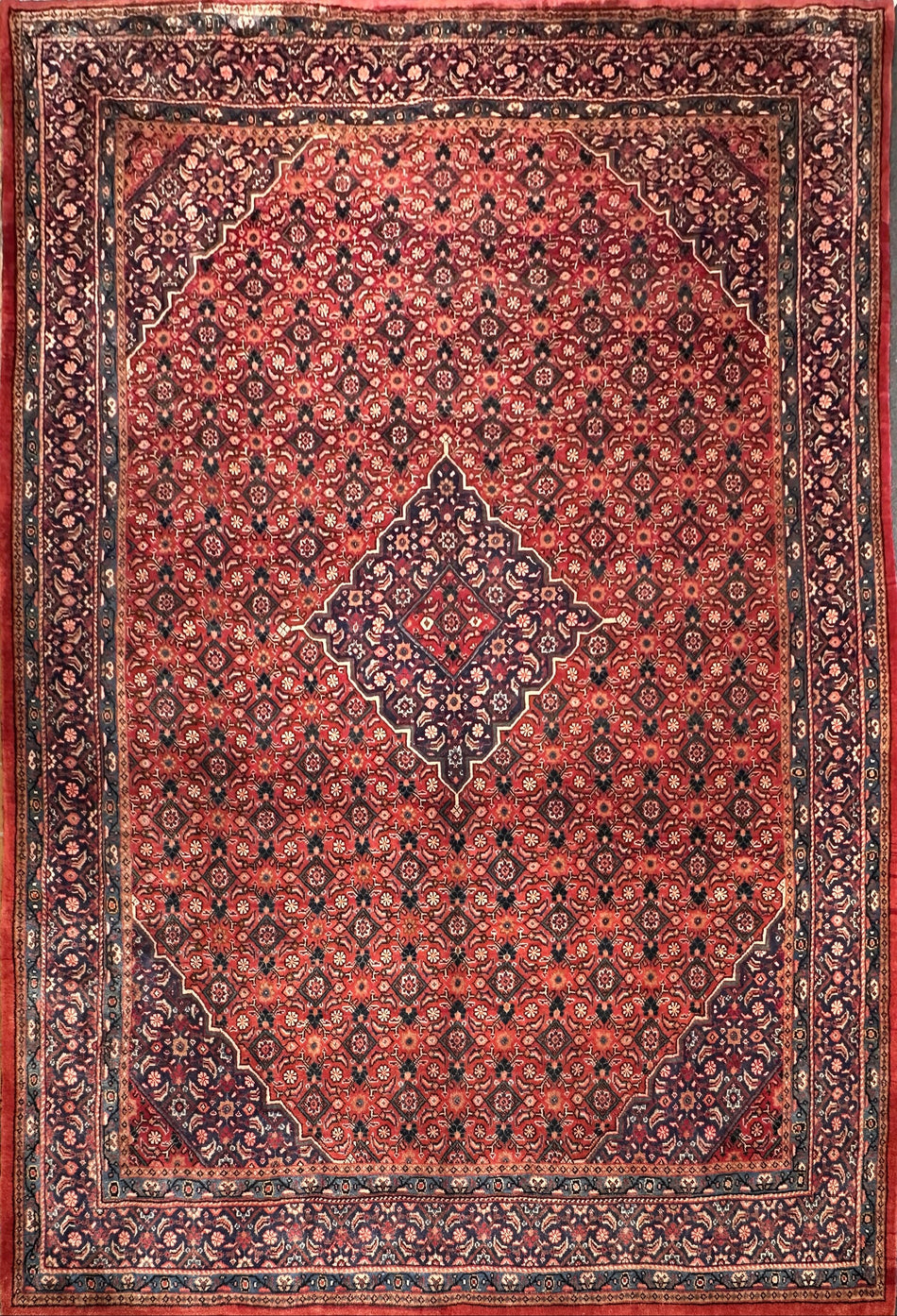 Arak Rug - 410 cm x 312 cm