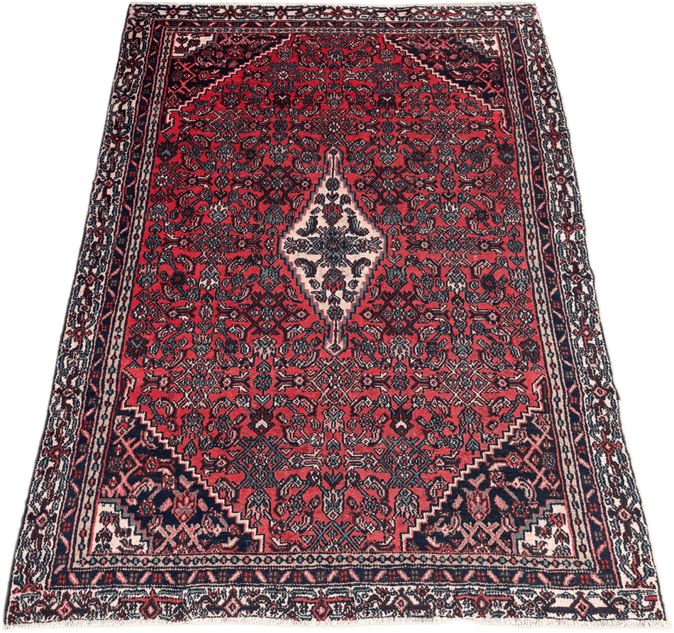 Hamadan Rug - 284 cm x 186 cm