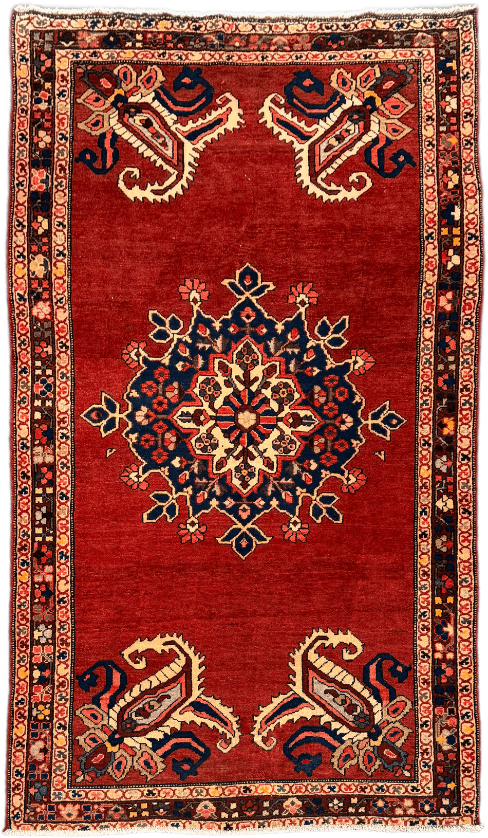Hamadan Rug  - 300 cm x 175 cm