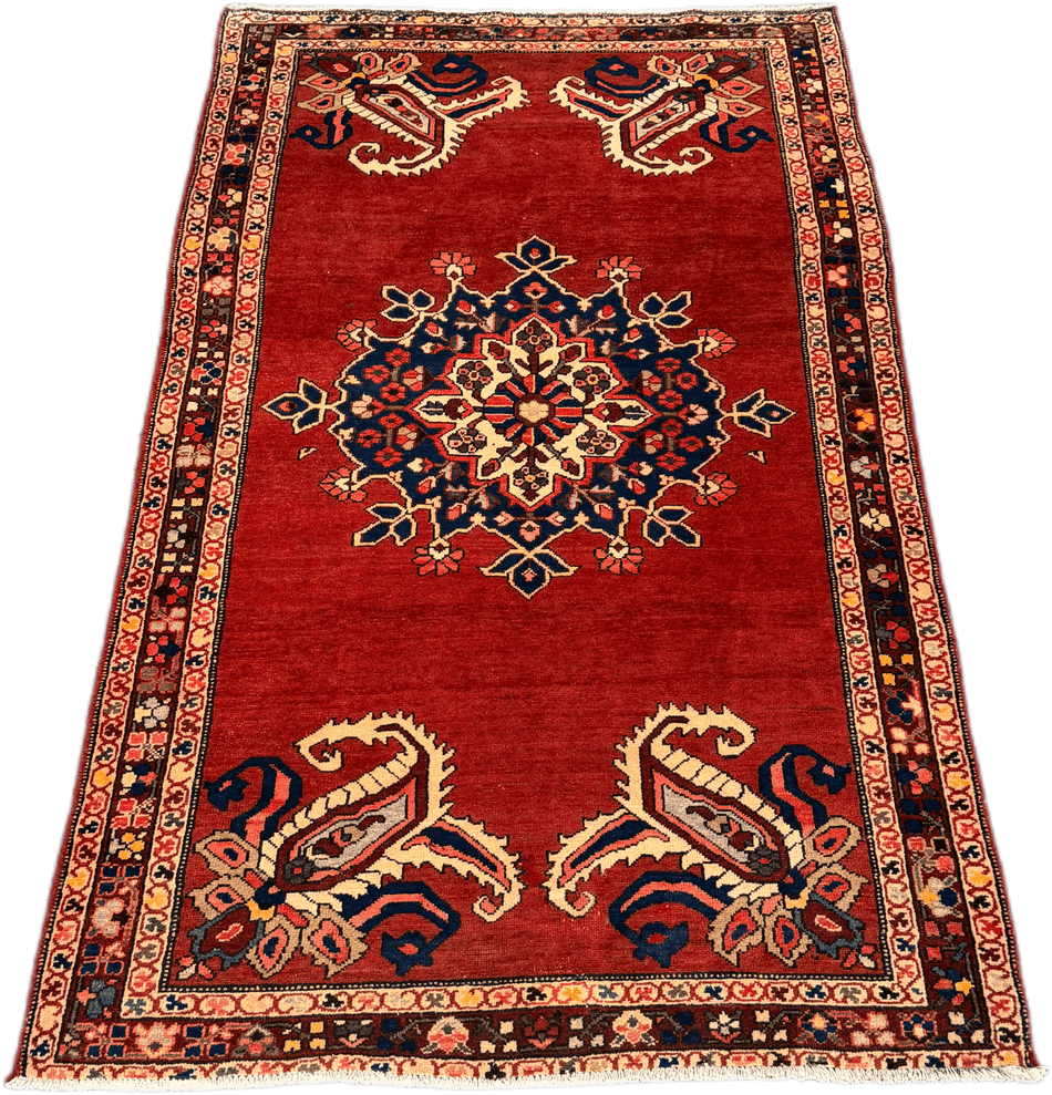 Hamadan Rug  - 300 cm x 175 cm