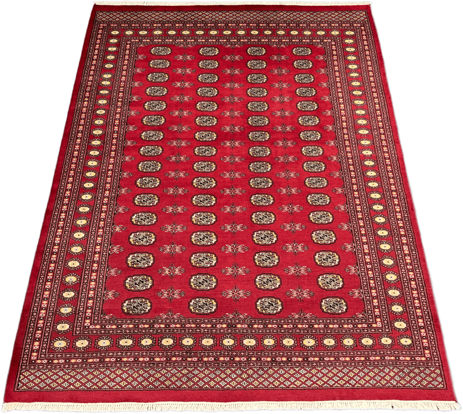 Bokhara Rug - 303 cm x 206 cm