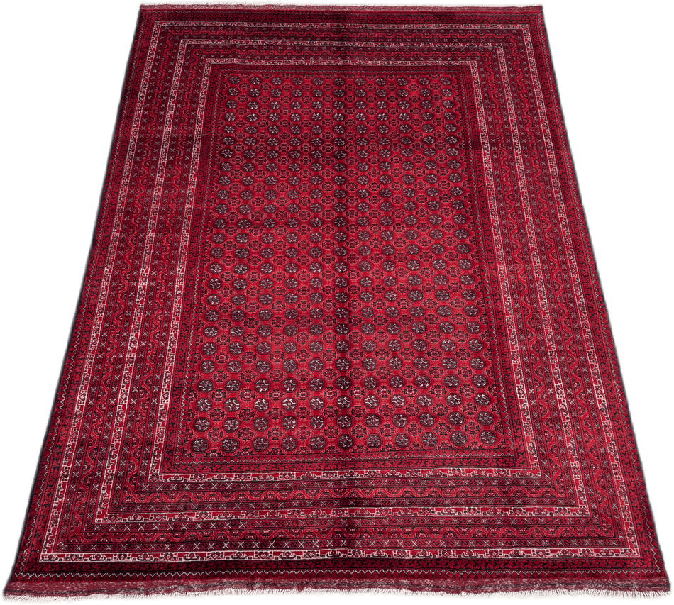 Roshnai Rug - 293 cm x 198 cm