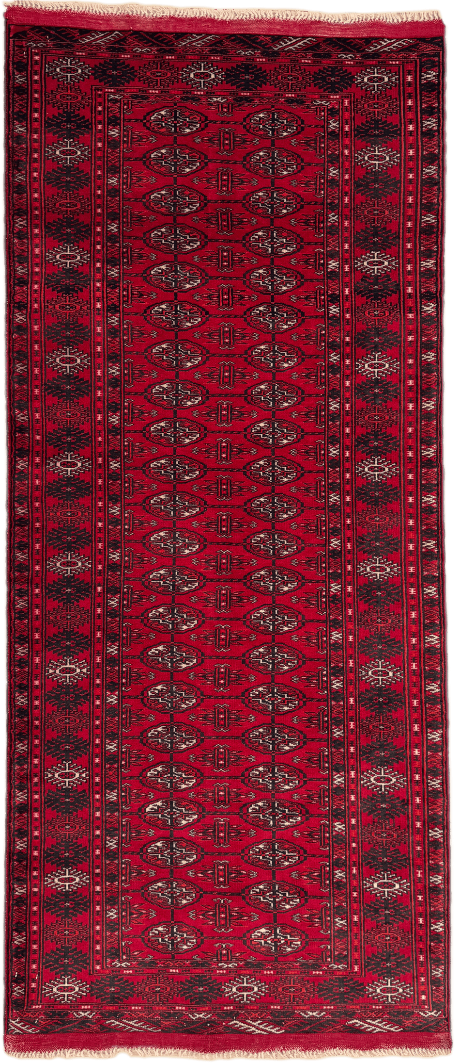 Roshnai Rug - 189 cm x 82 cm