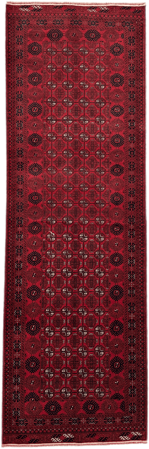 Roshnai Rug - 288 cm x 96 cm
