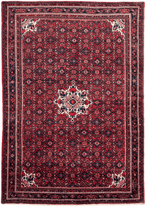 Hussainabad Rug - 305 cm x 215 cm