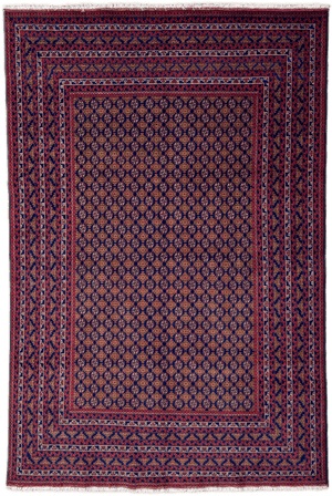 Roshnai Rug - 285 cm x 191 cm