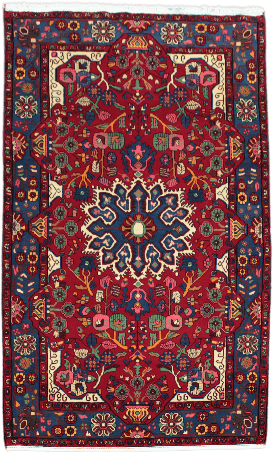 Veramin Rug - 262 cm x 158 cm