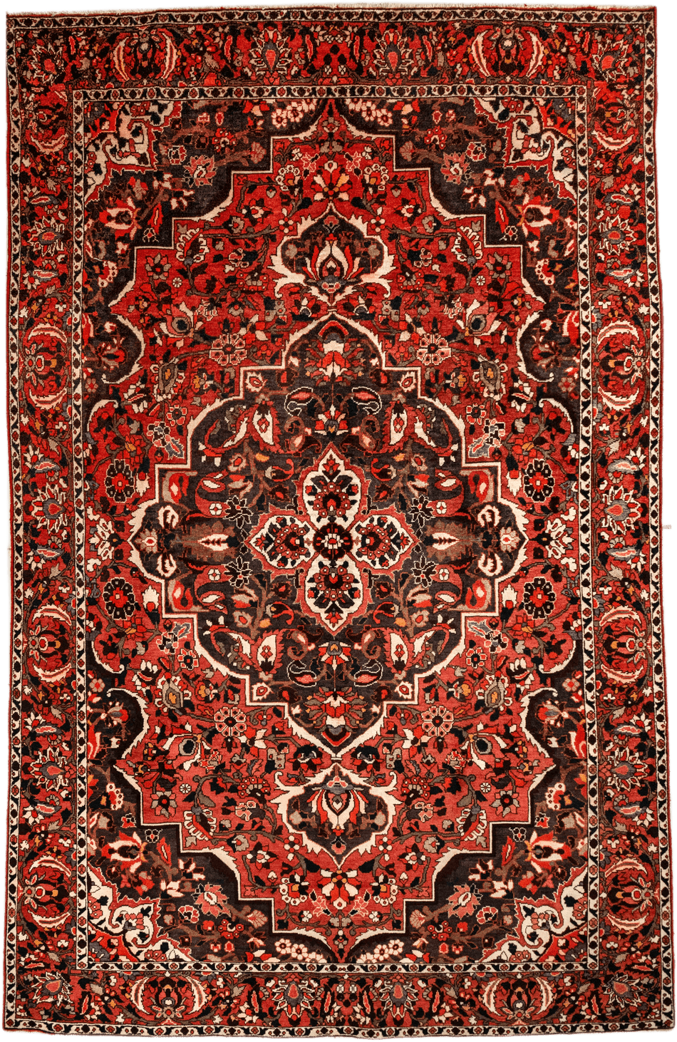 Bakhtiari Rug - 300 cm x 190 cm