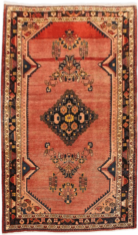 Vintage Hamadan Rug - 290 cm x 170 cm